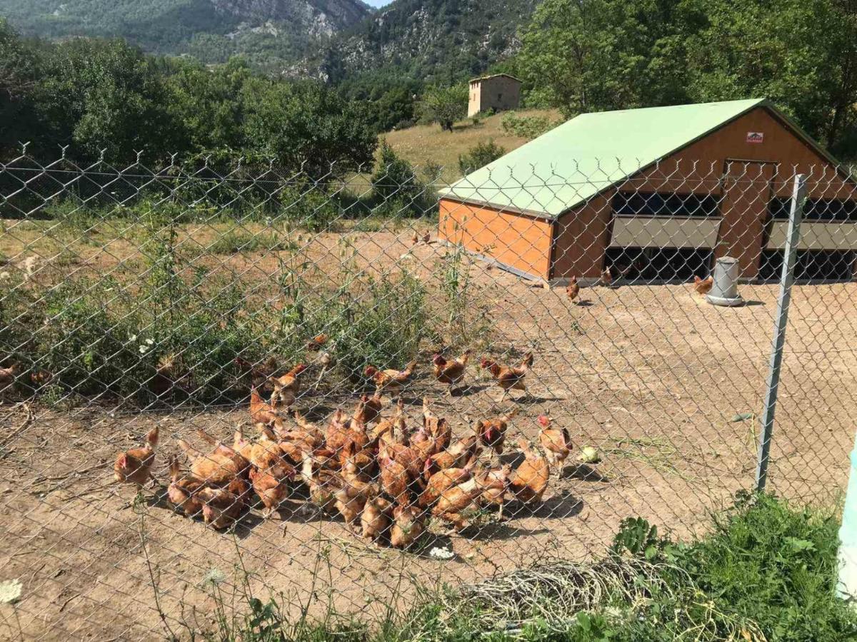 Camping La Ferme de Castellane Exterior foto